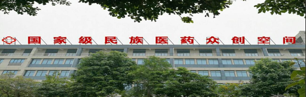 广西桂颐堂生物科技有限公司-又一个国家级民族医药众创空间站点